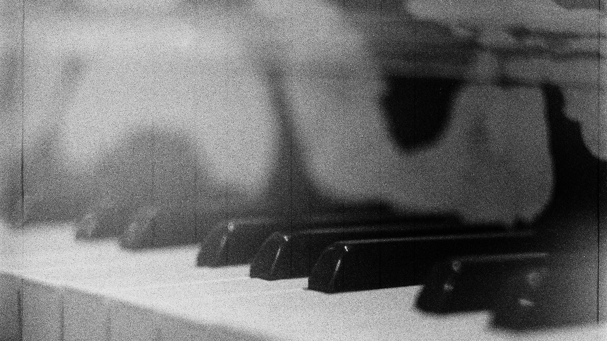 pexels-anastasia-latunova-66354443-10365043.jpg